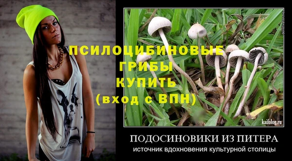 дурь Алзамай