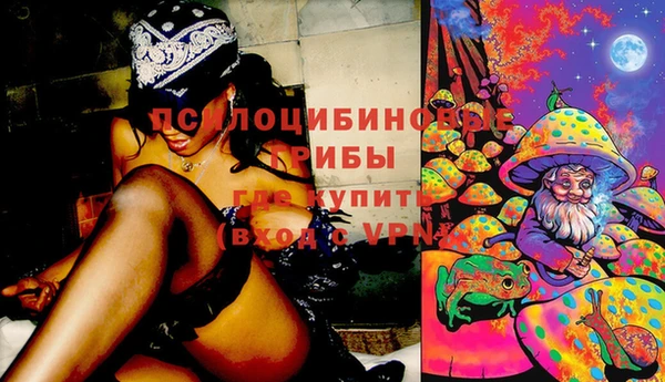 дурь Алзамай